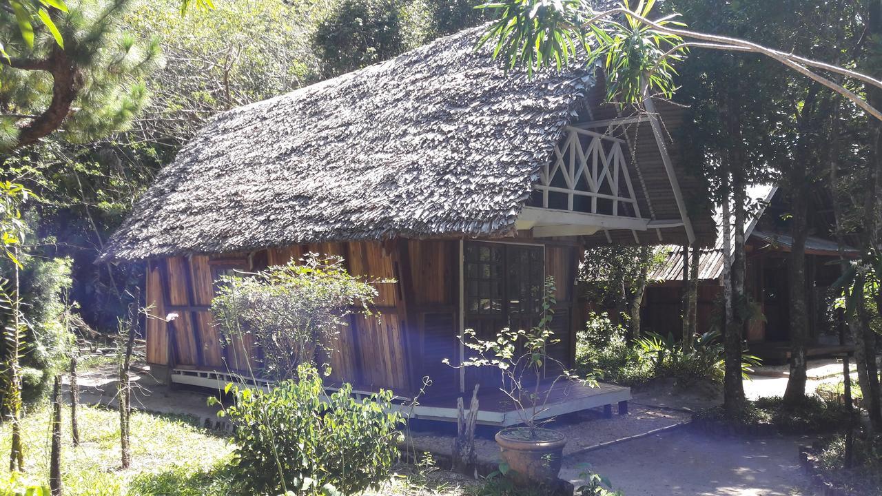 Les Acacias Bungalows Manambolo Exteriör bild